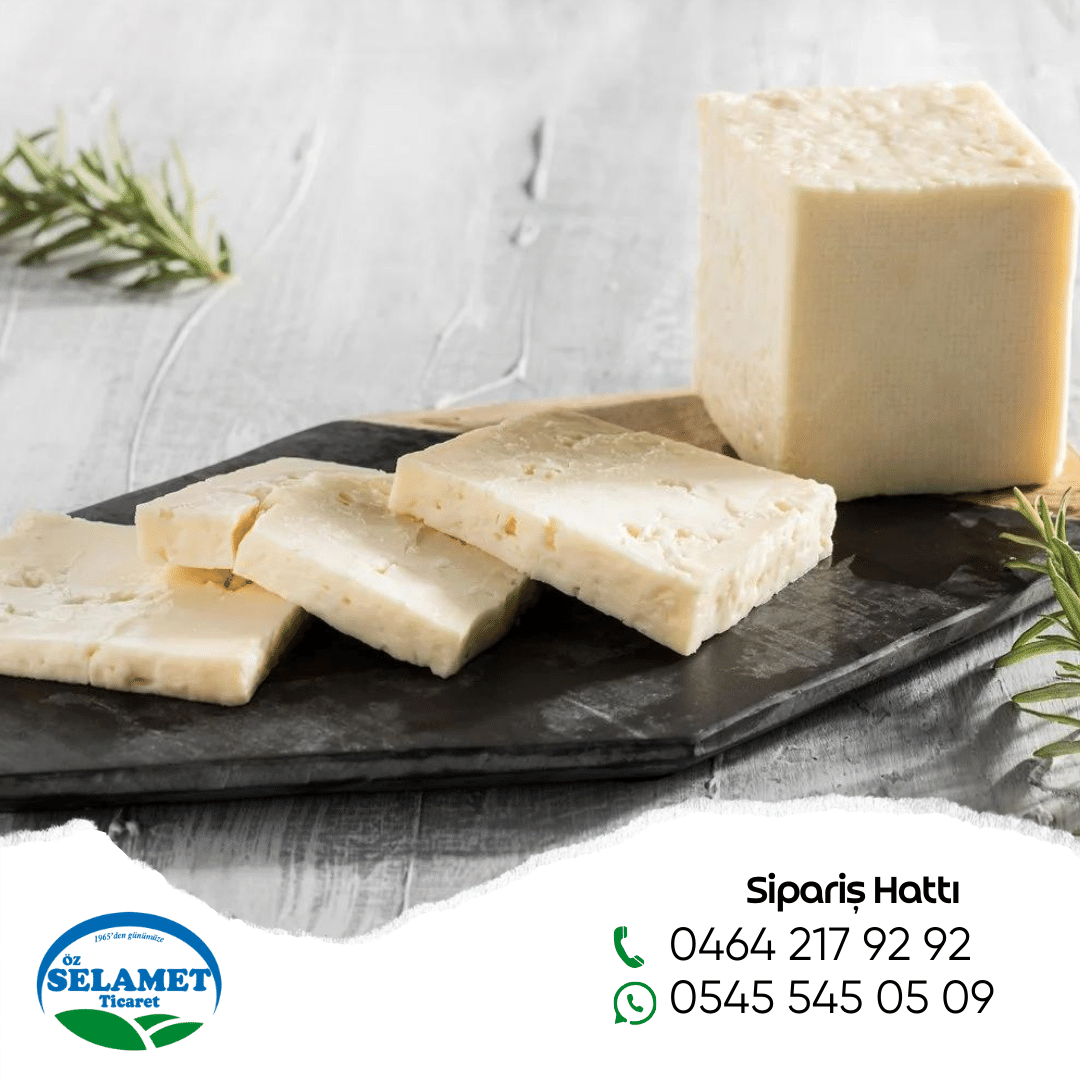 Ezine Keçi-Koyun-Gurme Beyaz Peynir 1 KG Ezine Keçi-Koyun-Gurme Beyaz Peynir 1 KG
